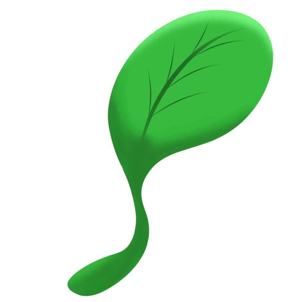 Leaf with shadow and light png