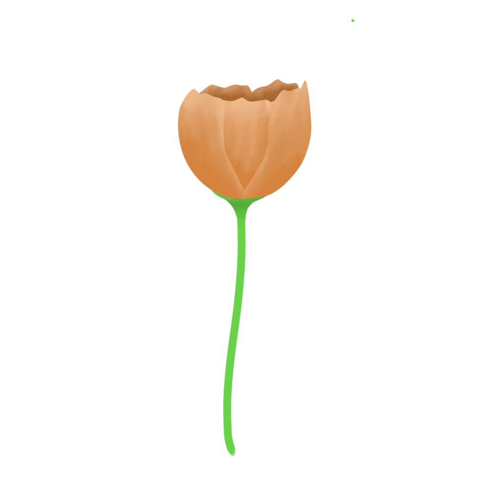 illustratie van rood bloem png