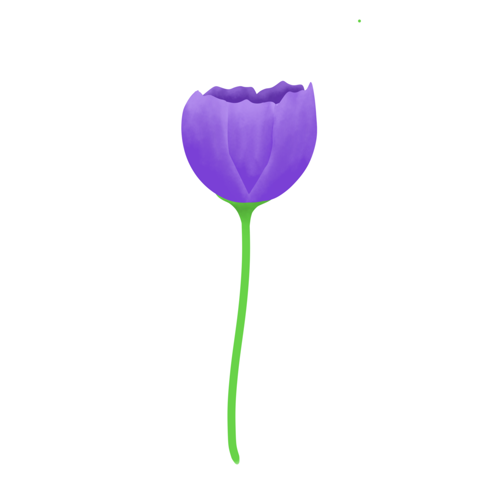 Illustration of purple flower png