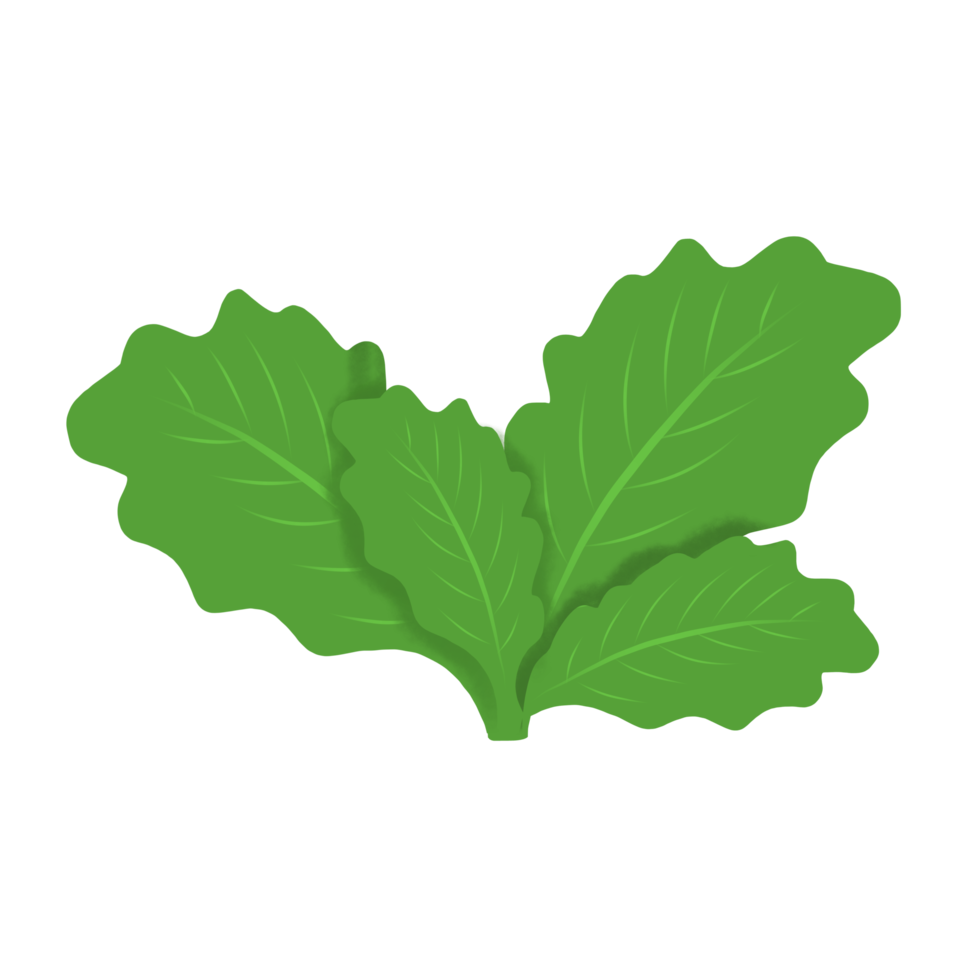 verde le foglie elemento icona png