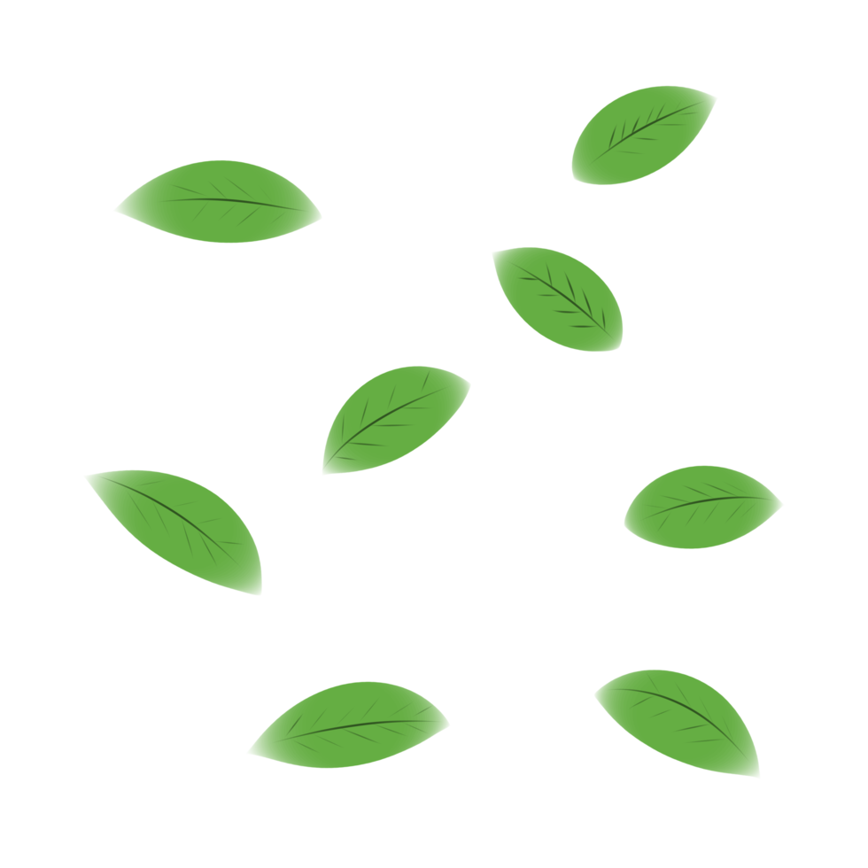 Fallen green leaf element png
