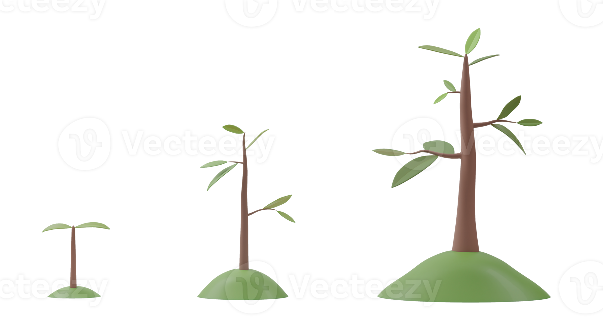 3D Rendering Tree Growth Diagram Isolated On Transparent Background 3d-rendering-tree-growth-diagram-isolated-on-transparent-background