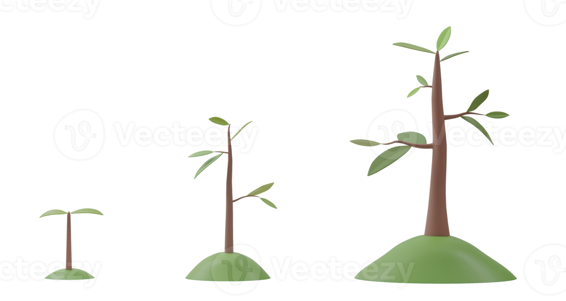 3D rendering. Tree growth diagram isolated on transparent background PNG file