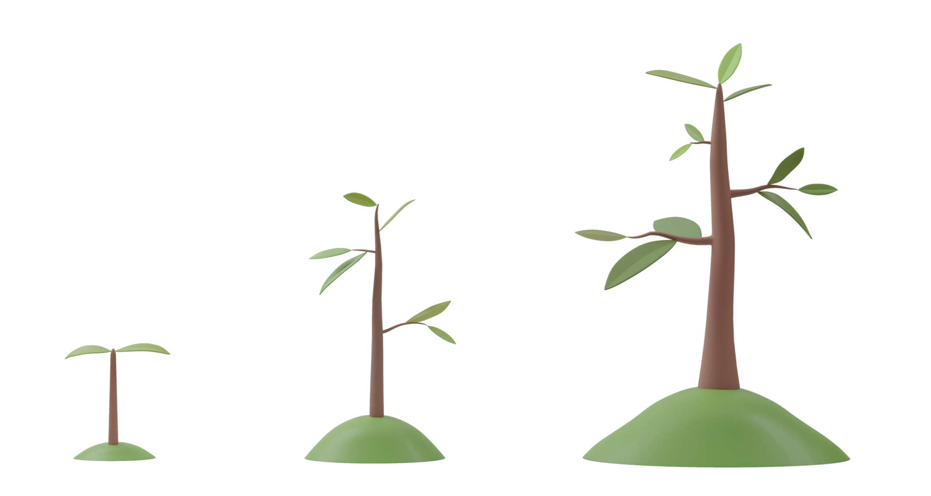 3D Rendering Tree Growth Diagram Isolated On Transparent Background 3d-rendering-tree-growth-diagram-isolated-on-transparent-background