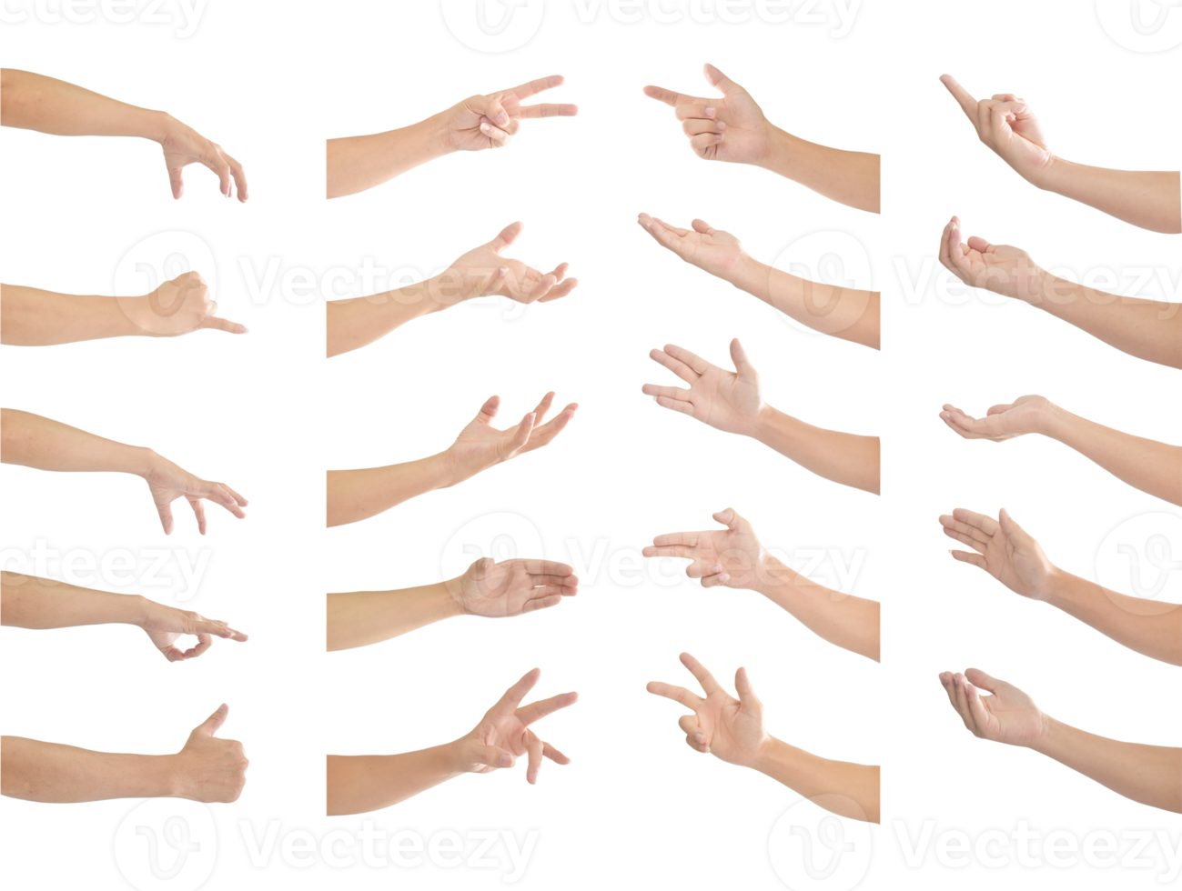 collezione di umano mani nel multiplo gesto isolato su trasparente sfondo png file