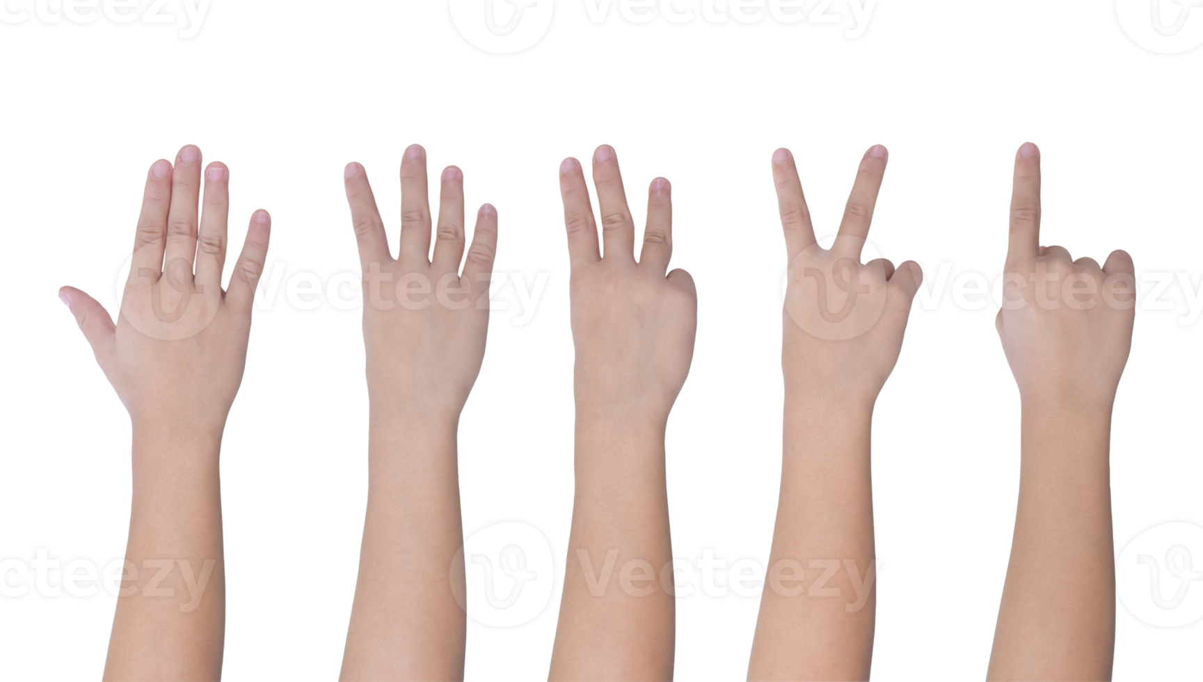 Children hand showing one to five fingers count isolated on transparent background PNG file