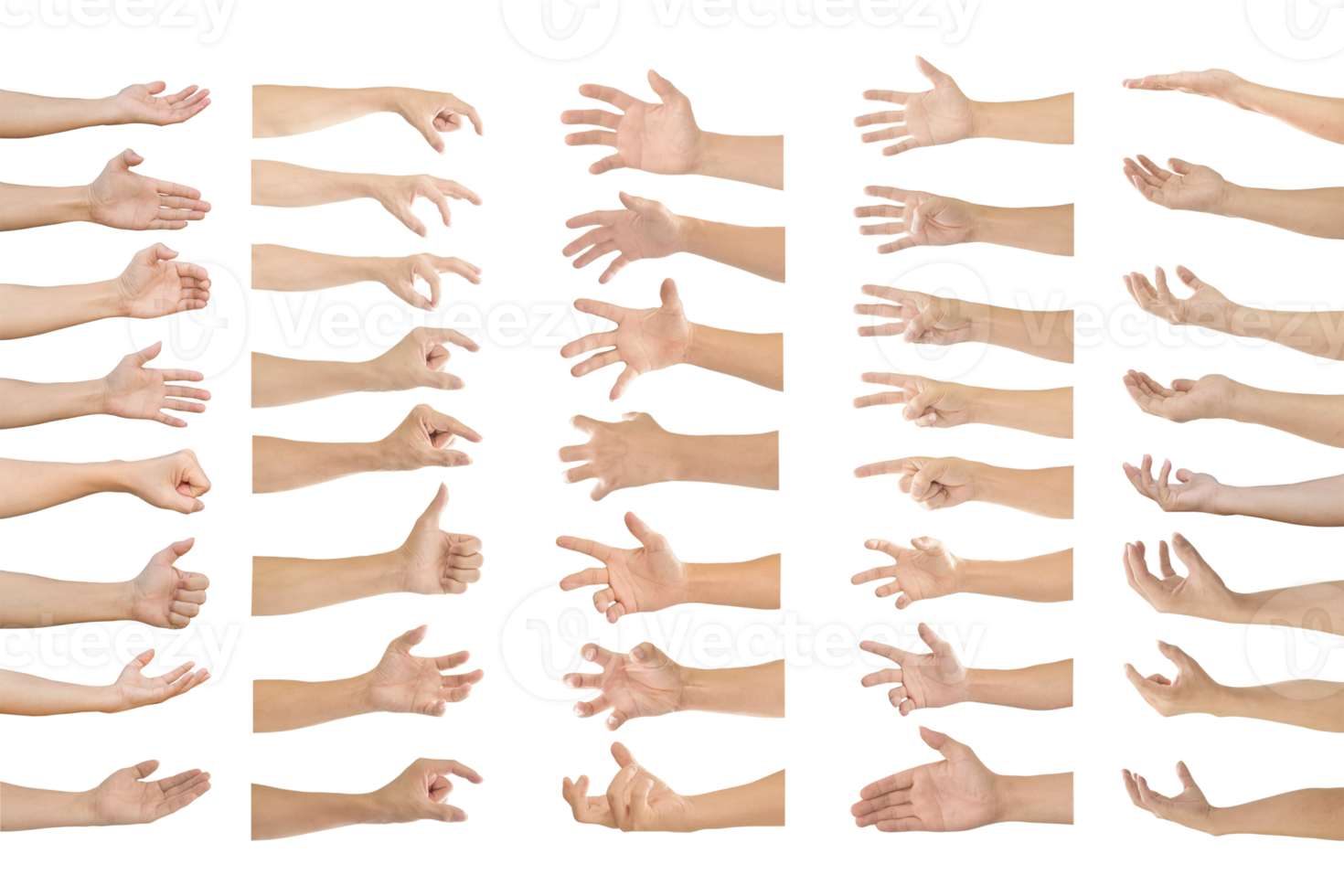Collection of human hands in multiple gesture on transparent background PNG file