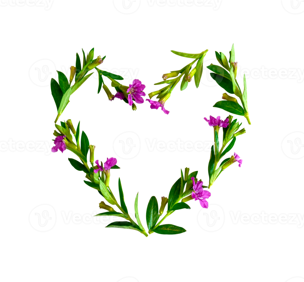 Heart made of flower and leaves isolated on transparent background PNG file