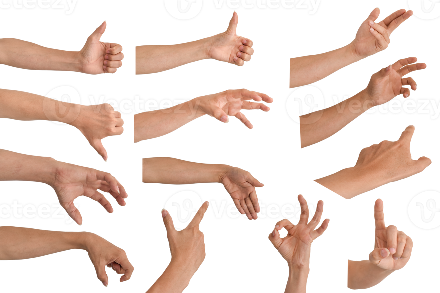 Set of male hand multiple collection in gestures isolated on transparent background PNG file