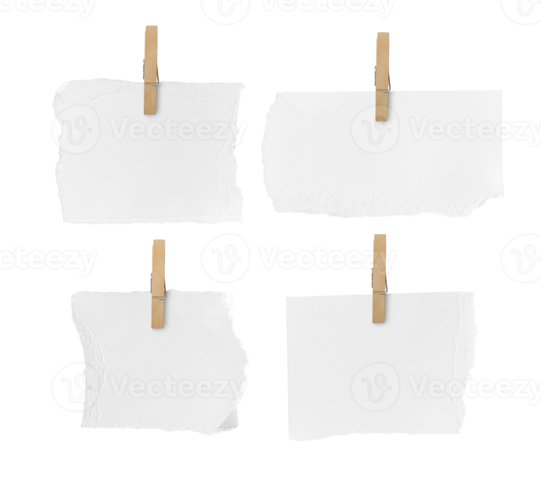 Set of Wooden clip and white paper torn isolated on transparent background PNG file.