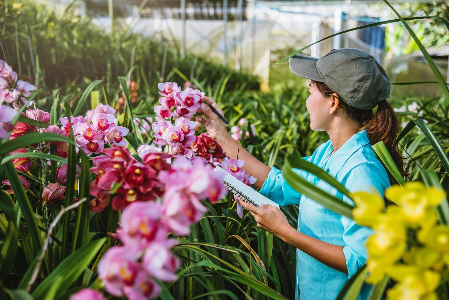 la niña nota los cambios en el crecimiento de las orquídeas en el jardín. hermoso fondo de orquídeas en la naturaleza foto