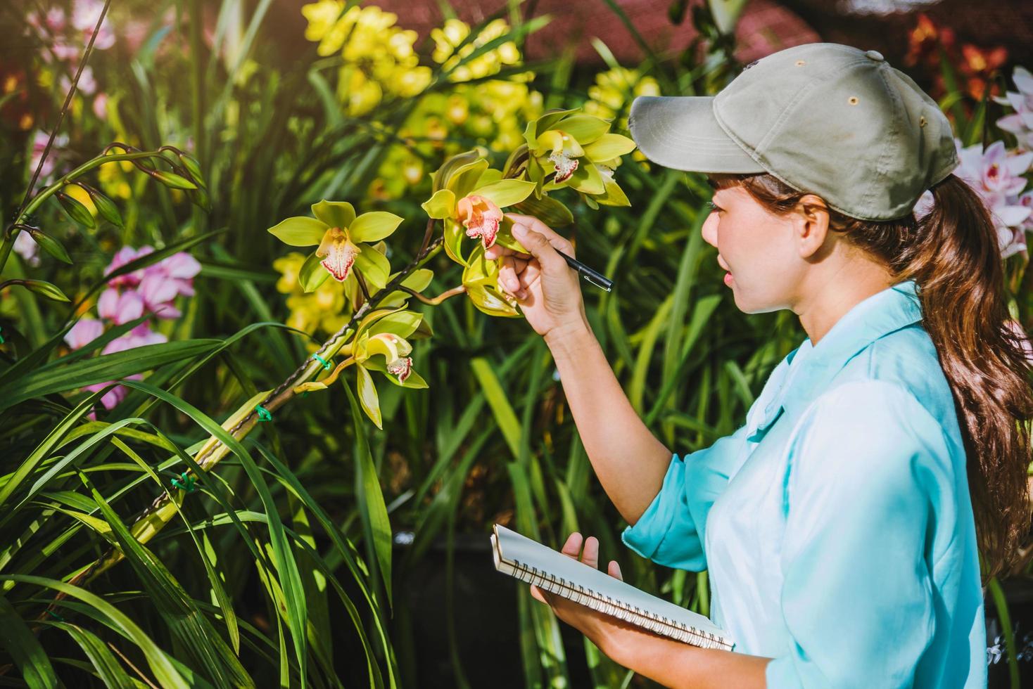 la niña nota los cambios en el crecimiento de las orquídeas en el jardín. hermoso fondo de orquídeas en la naturaleza foto