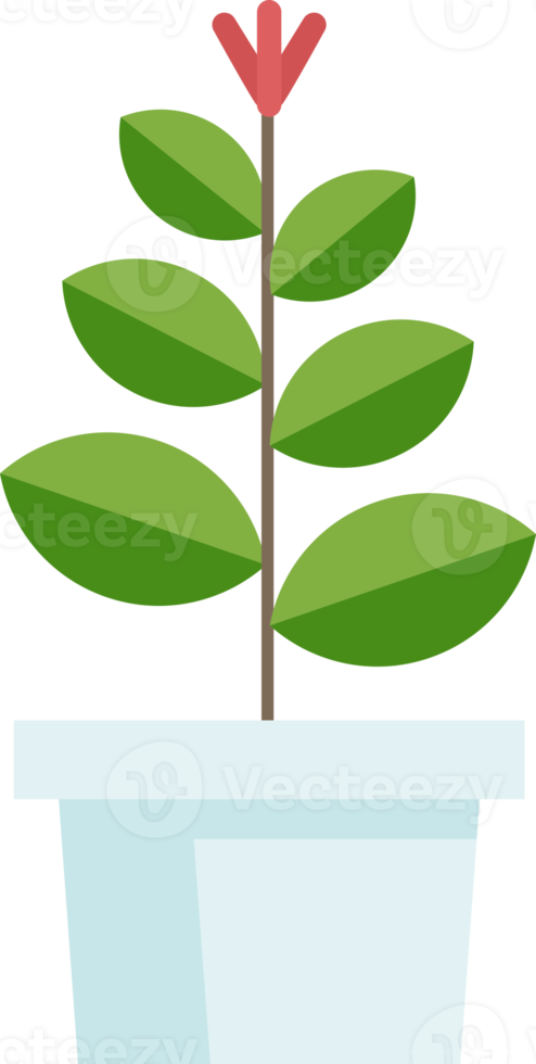 potted plant flat color png