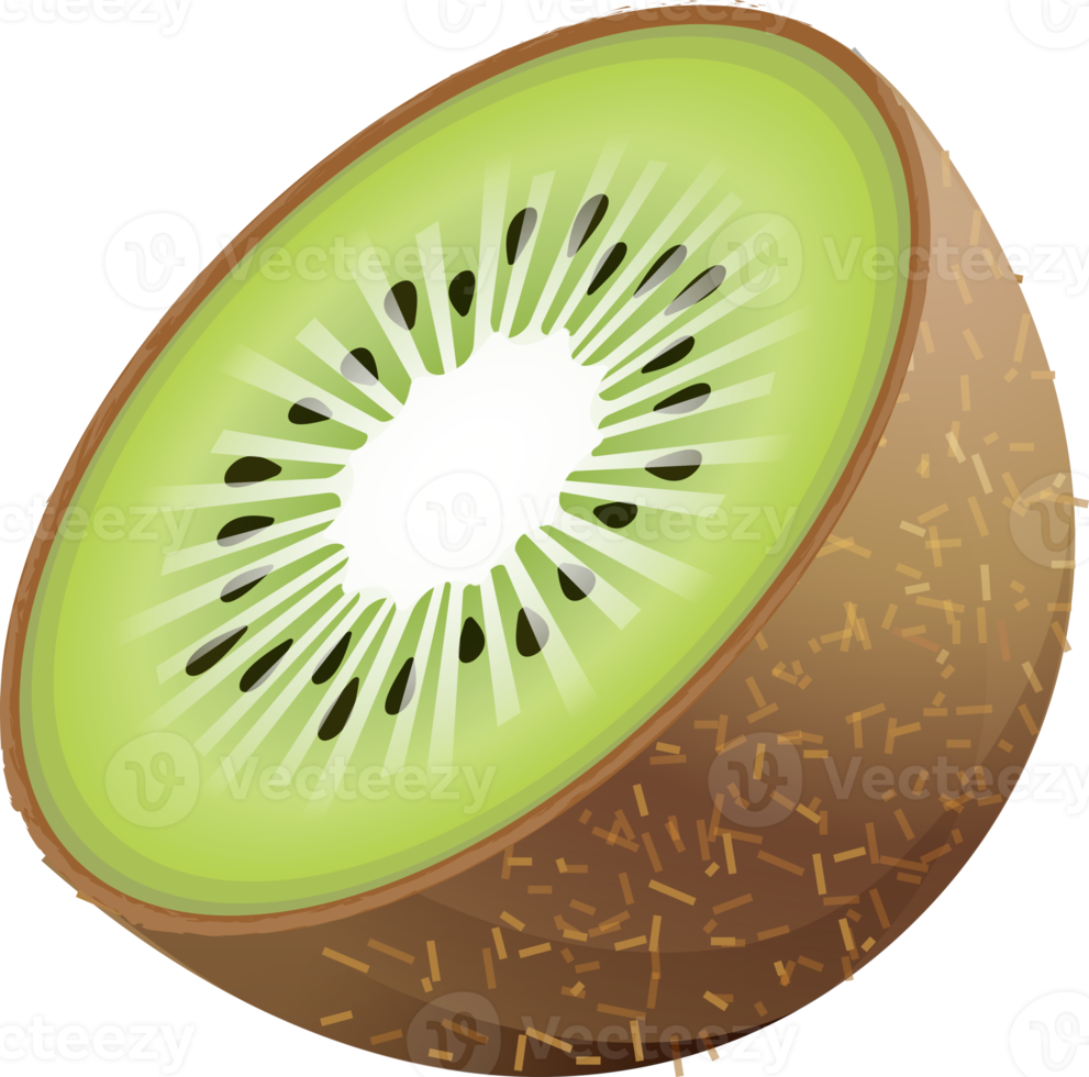 Kiwi color illustration 18923141 PNG