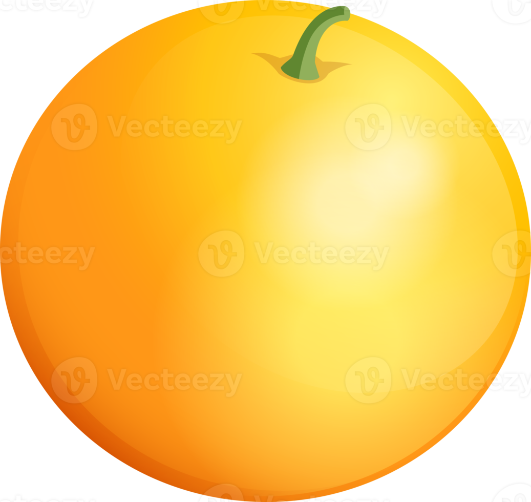 Orange fruit color illustration png