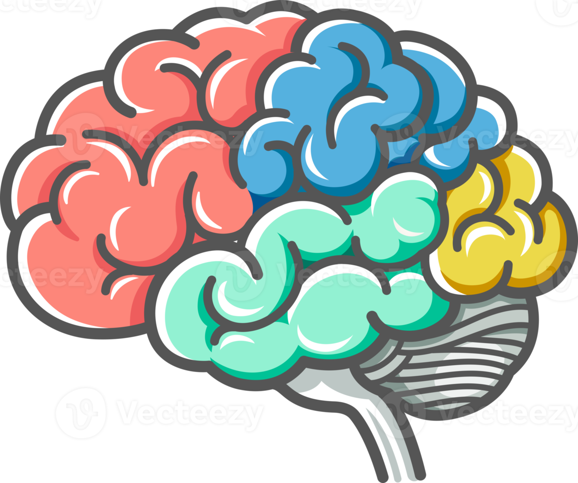 icône de doodles de diagramme de cerveau humain png