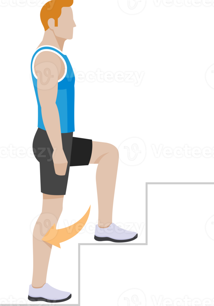 people exercises workout fitness png