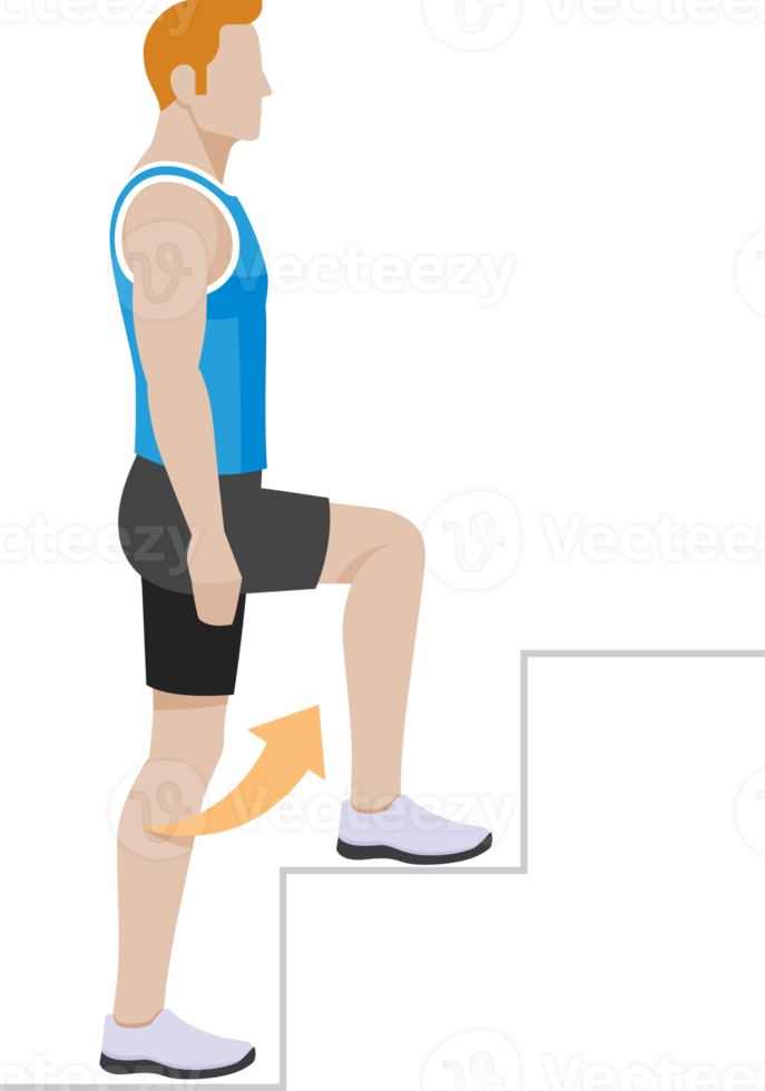 people exercises workout fitness png