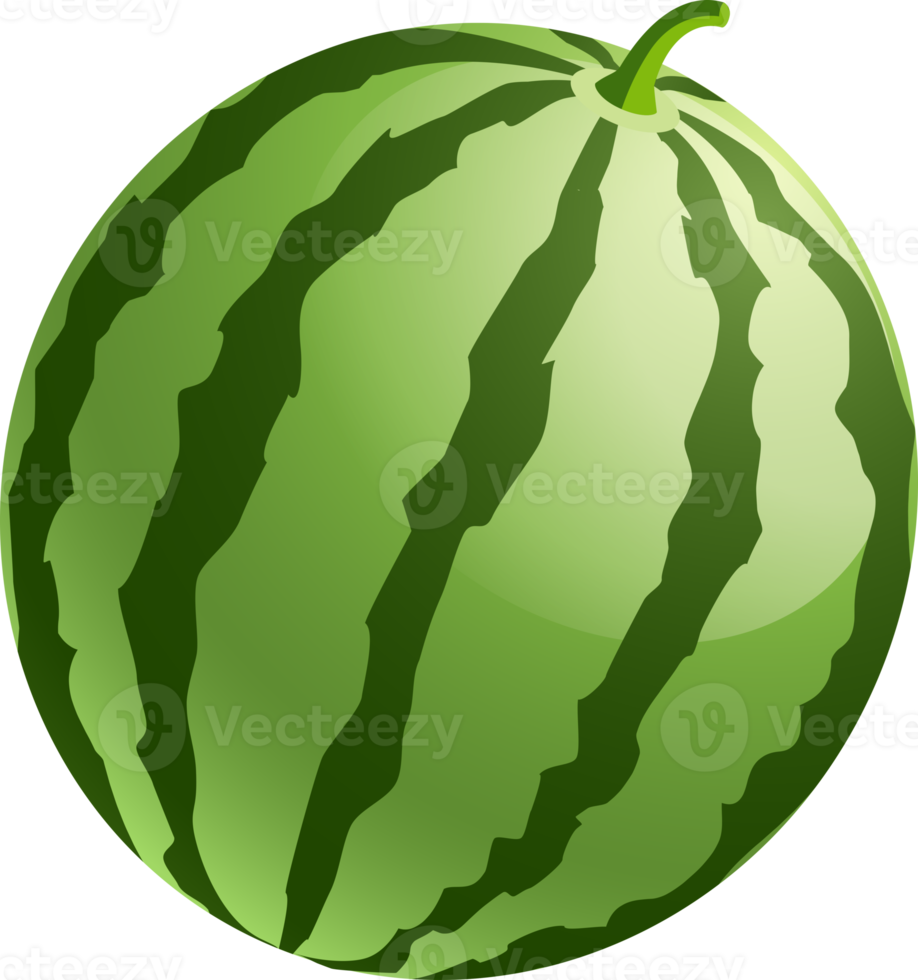 watermeloen kleur illustratie png