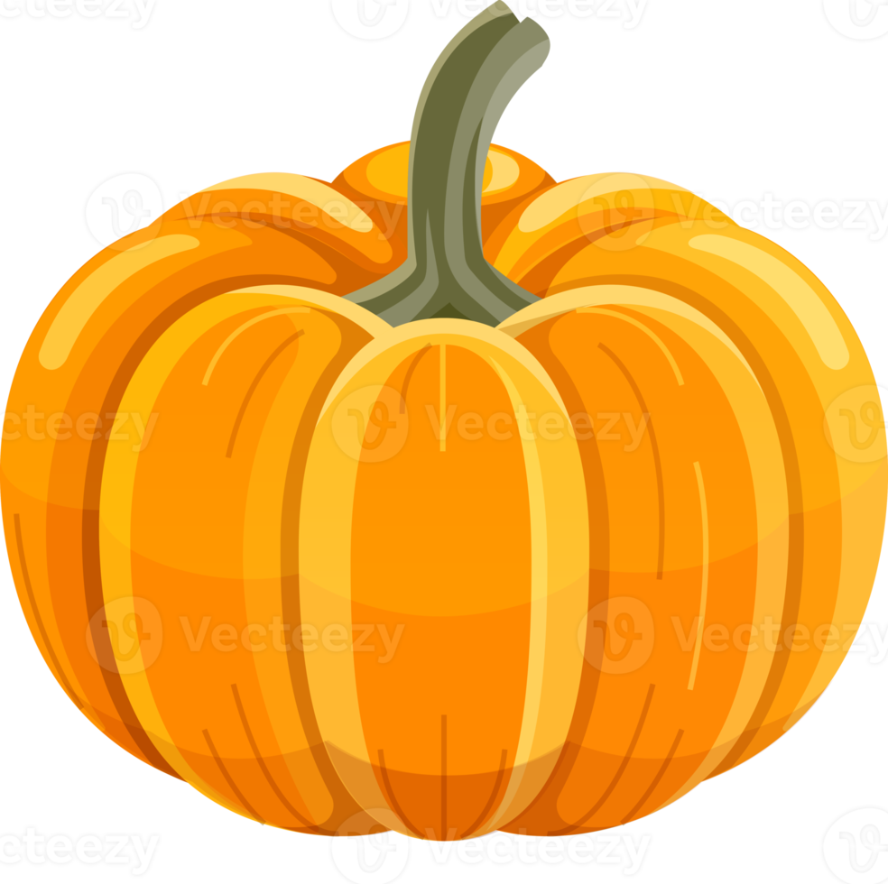 pompoen vlak kleur png