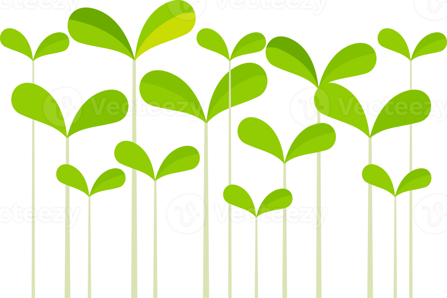 Sapling tree flat color png