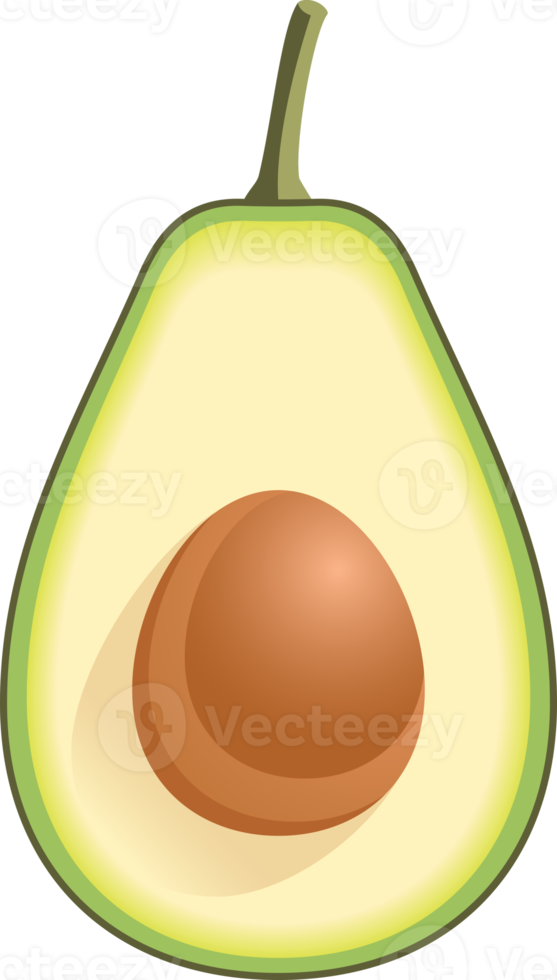 Avocado color illustration png