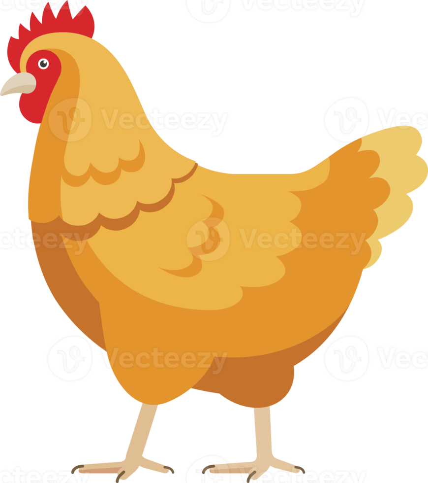 chicken flat color png