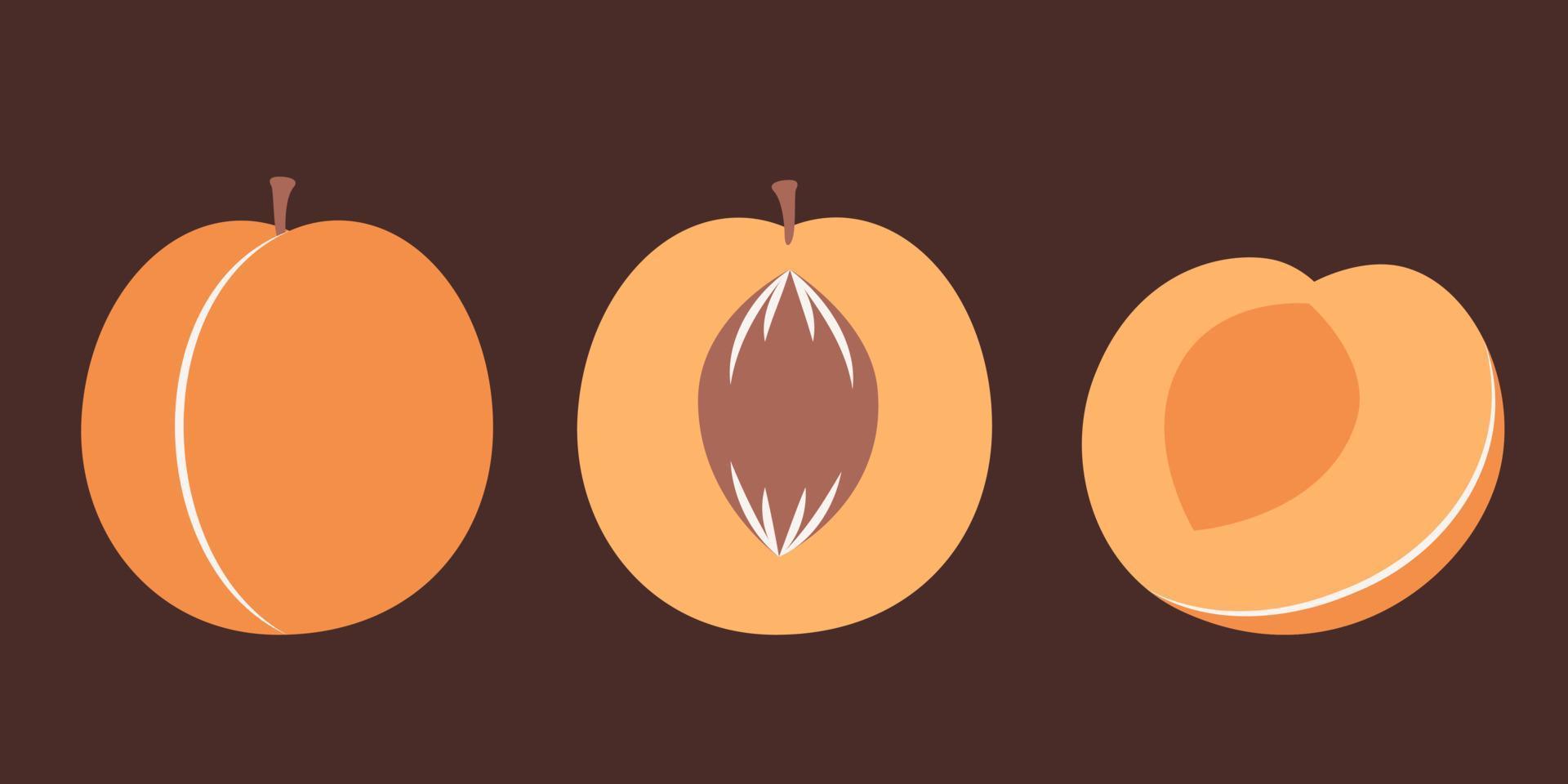 albaricoque entero y cortado. fruta dulce en estilo plano. vector