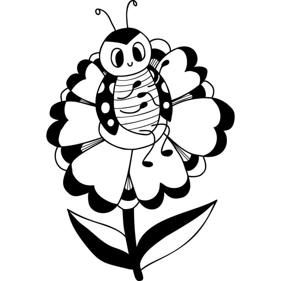 ladybug  on flower vector