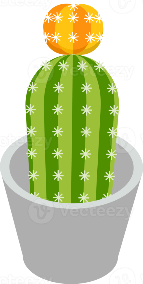 Cactus flat colors png