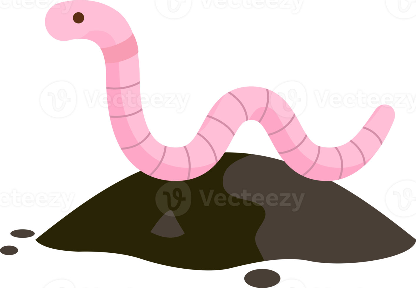 Worm flat color png