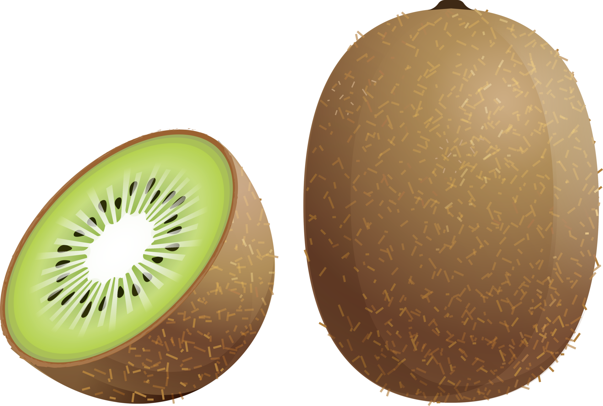 Illustration De Couleur De Kiwi 18925257 PNG illustration-de-couleur-de-kiwi-18925257-png