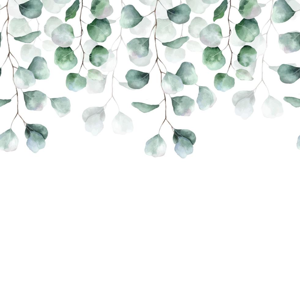 Eucalyptus green leaf seamless border. Watercolor floral illustration. Background for wedding invitations, greetings, wallpapers, postcards vector