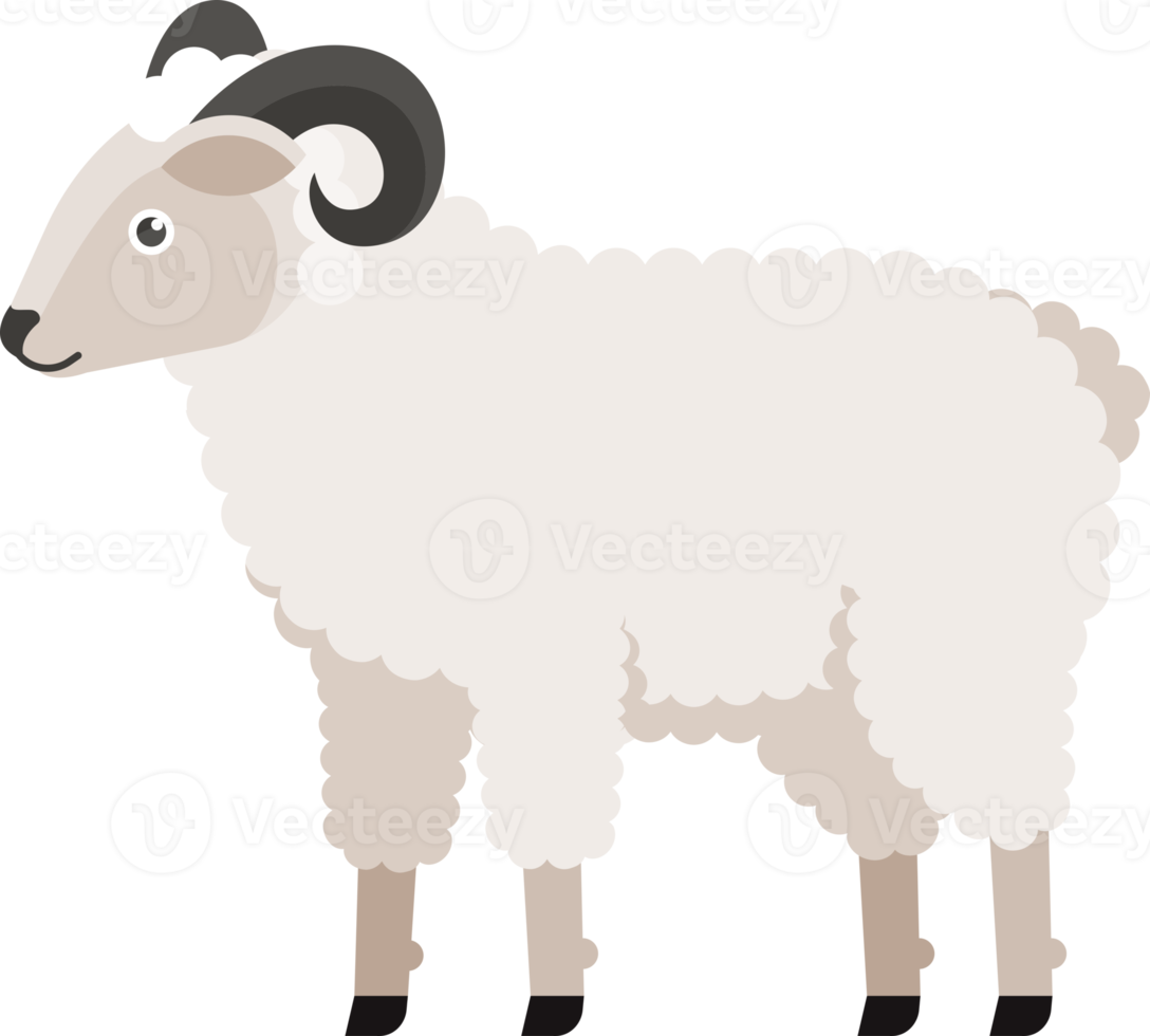 Sheep flat color png