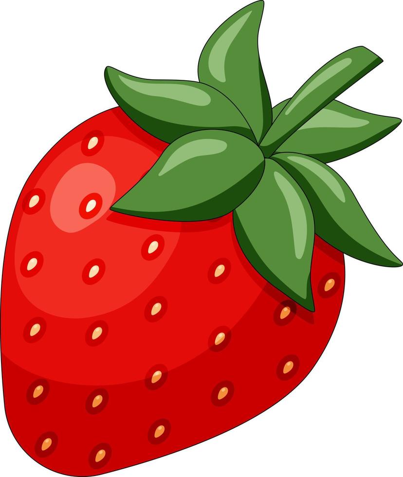 Red whole strawberry vector illustration