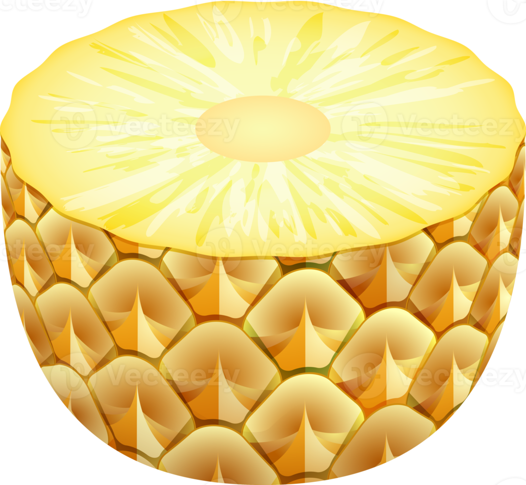 illustrazione di colore di ananas png