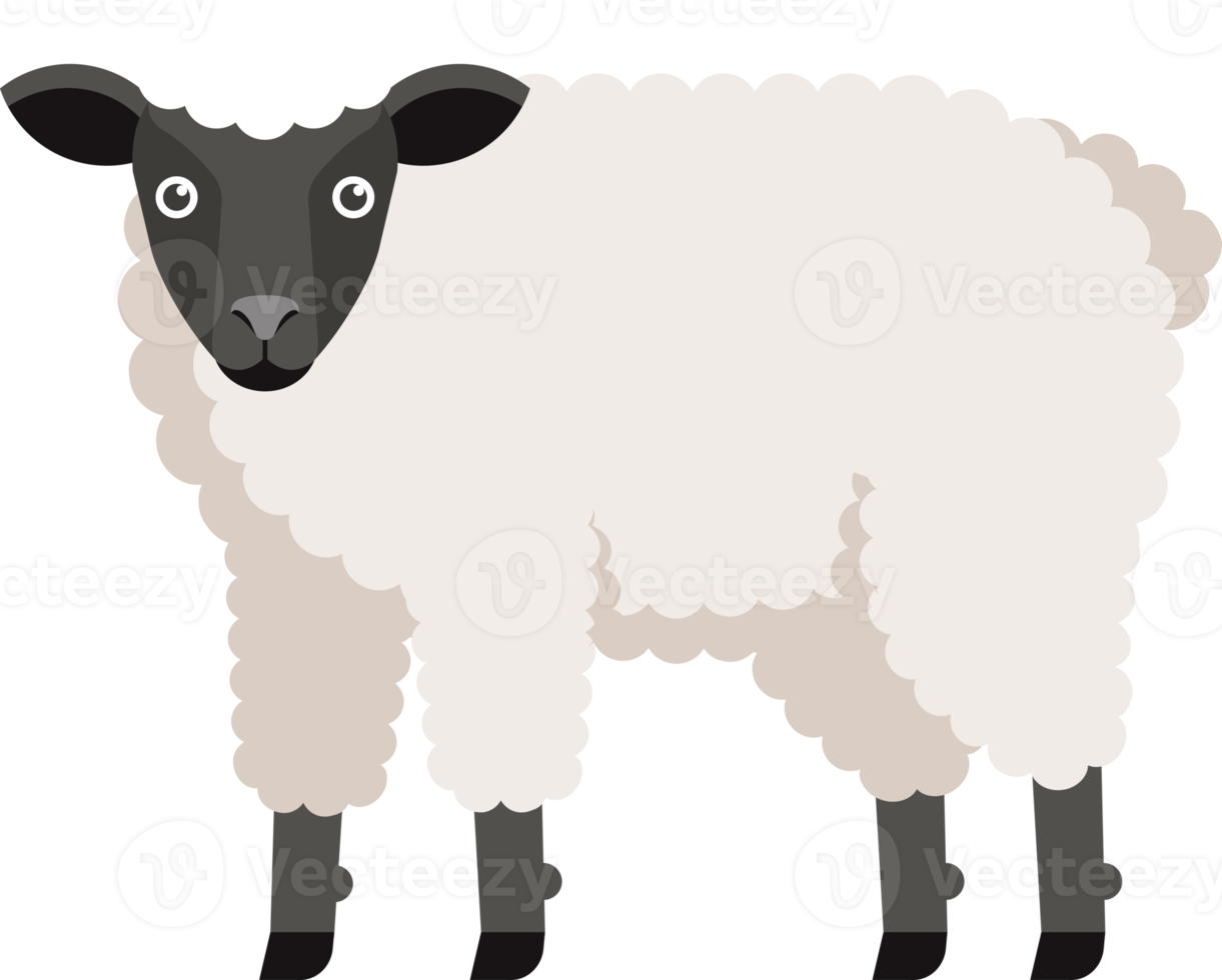 Sheep flat color png