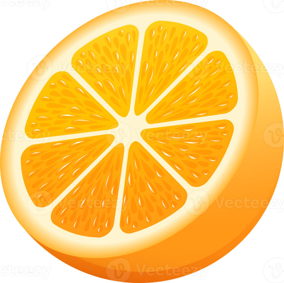 ilustración de color de fruta naranja png