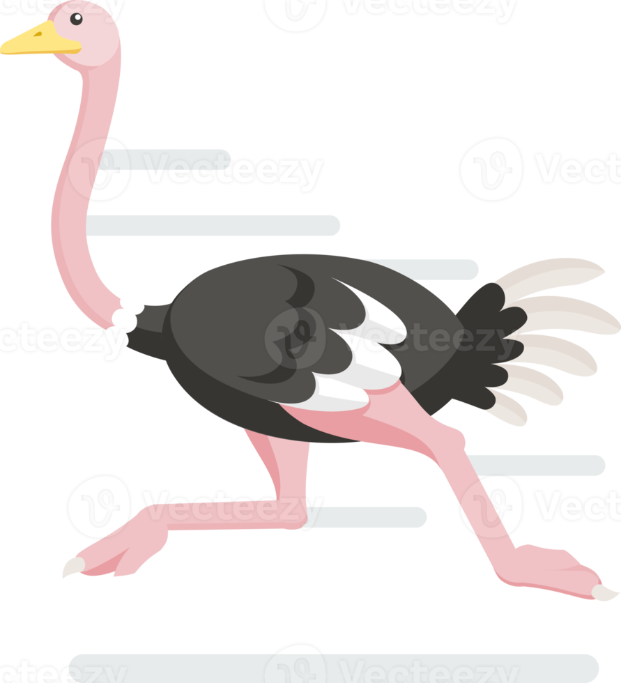 Ostrich flat color png