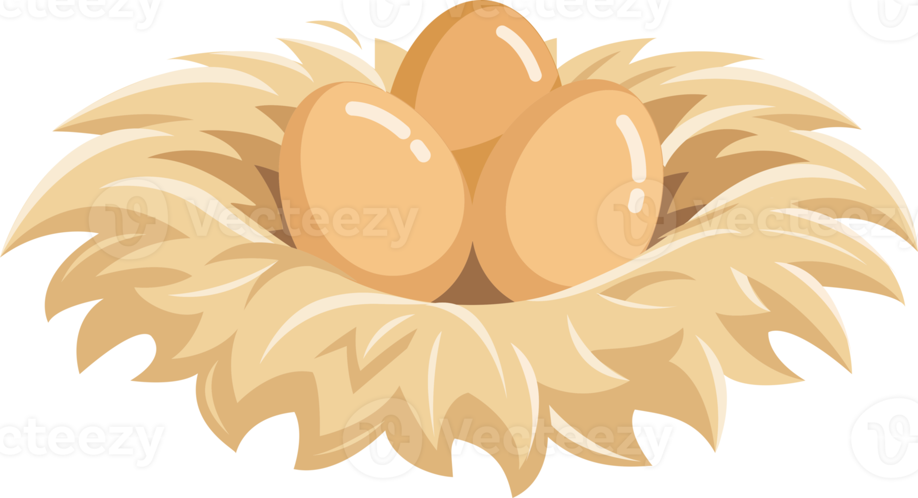 eggs in the nest flat color png