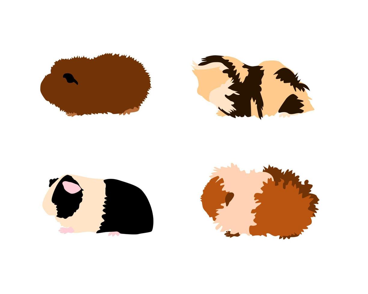 Guinea pig breedsr in silhouette style. Pet rodents collection and icons. Isolated vector with different breeds, rex, simple, CH-teddy, Sheba