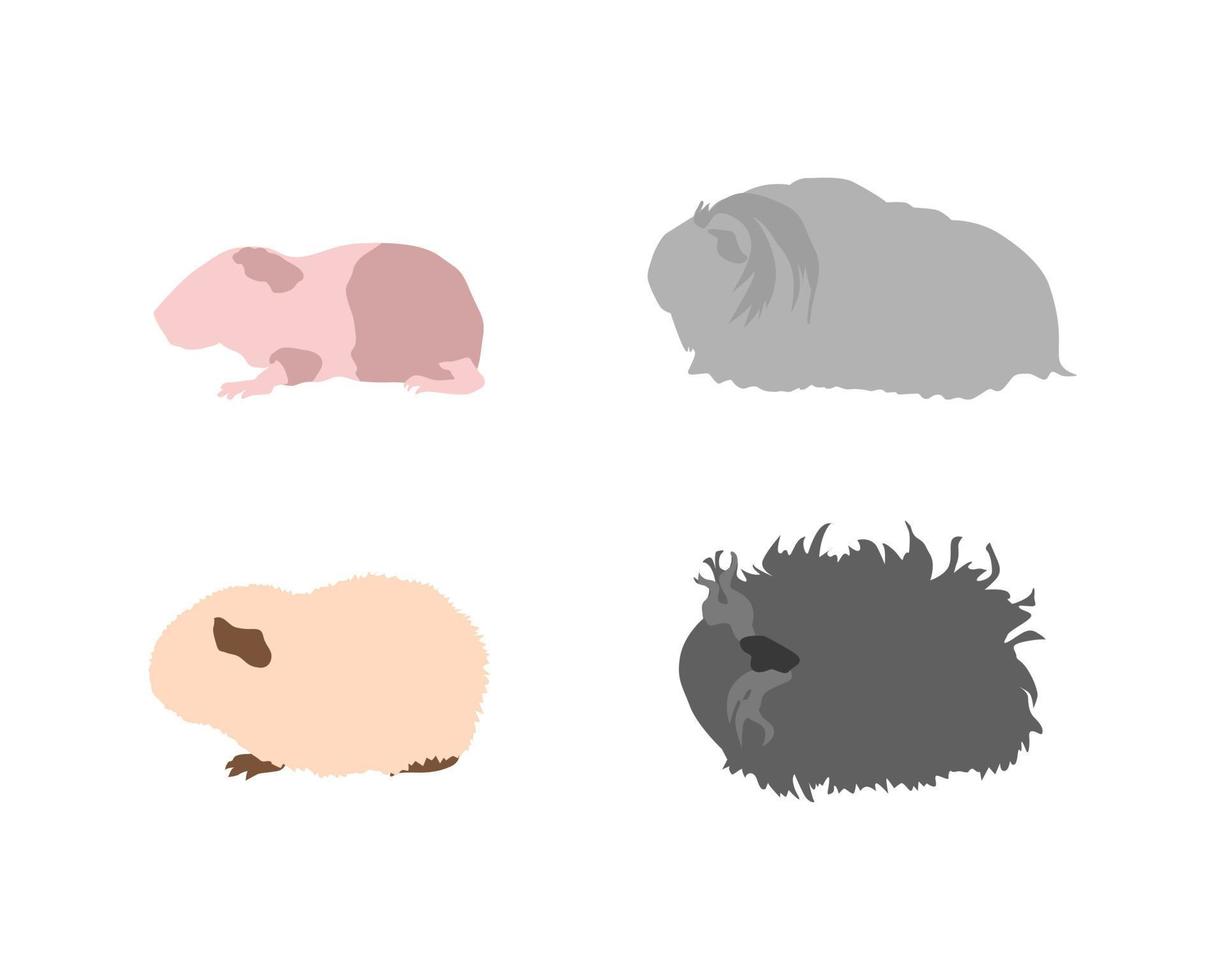 Guinea pig breedsr in silhouette style. Pet rodents collection and icons. Isolated vector with different breeds, baldwin, silkie, Am-teddy, Lunkaria
