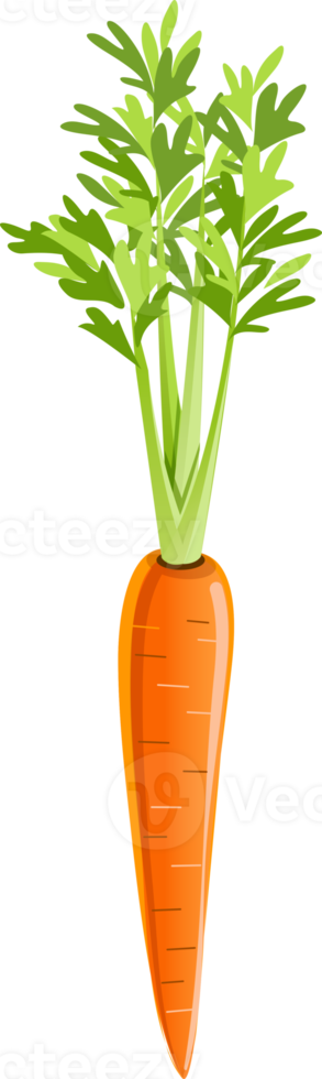 Carrot flat color png
