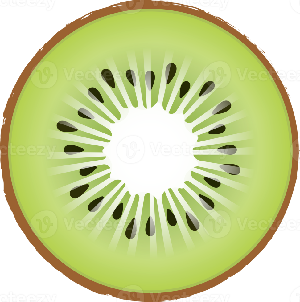 illustration de couleur kiwi png