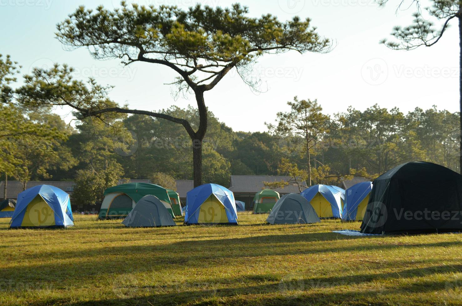 Tourist tent in base camp at Phu Kradueng, Loei, Thailand. photo