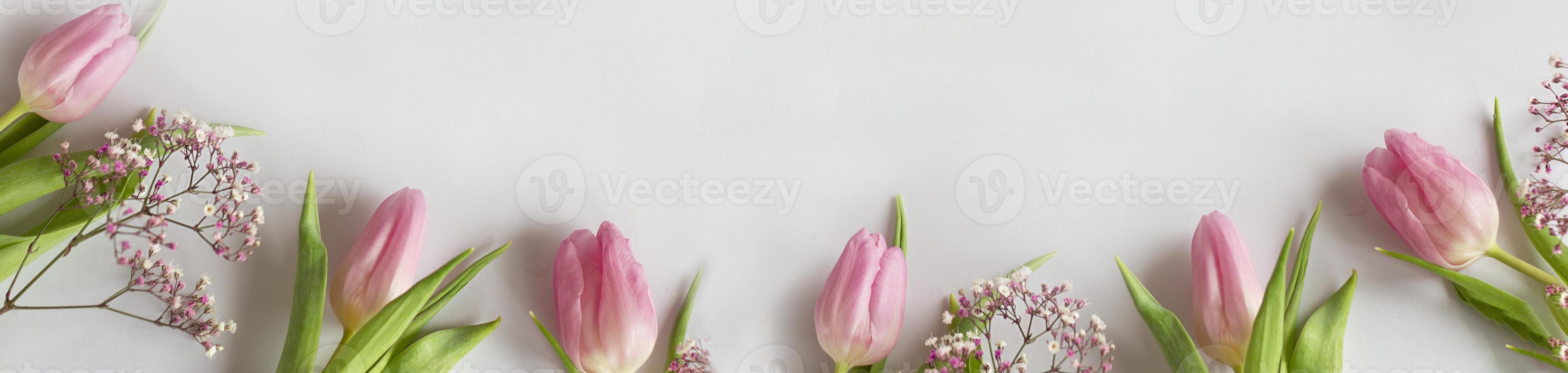 Tulips. Spring background - spring composition of tulips. Copy space photo