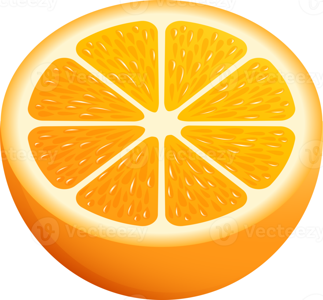 ilustração de cor de fruta laranja png