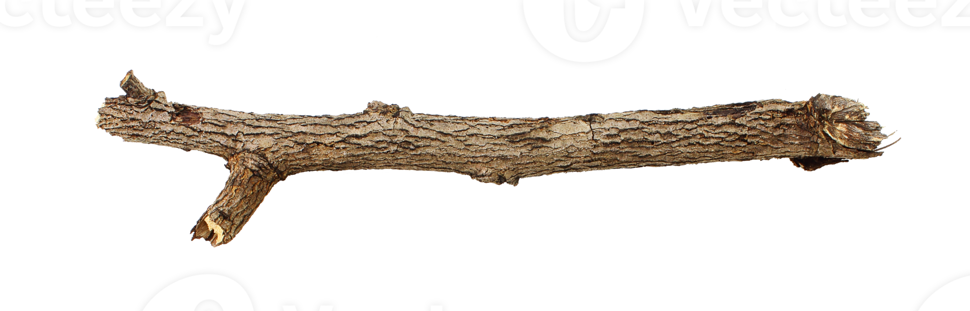 tree branch stick 18927714 PNG