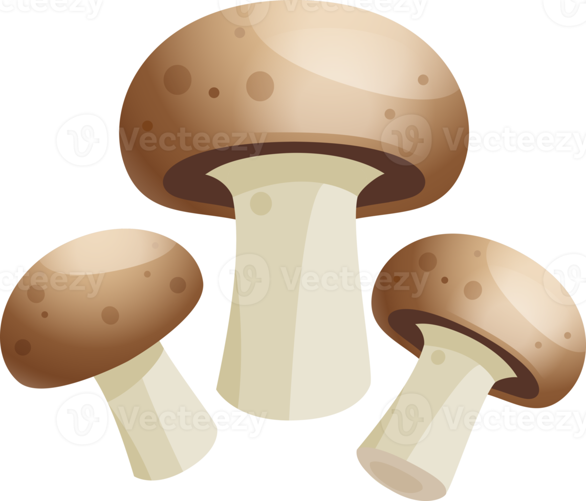 couleur plate aux champignons png