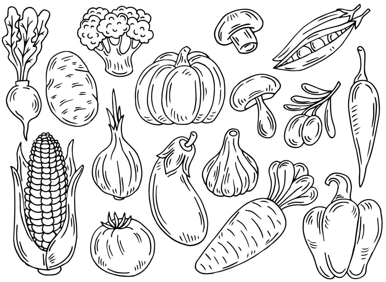 conjunto de iconos vegetales de contorno negro. dibujos hechos a mano de zanahoria, repollo, brócoli, maíz, calabaza. boceto de ilustración de comida. garabatear siluetas de elementos de cosecha vector